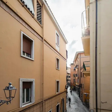 The View In Frascati